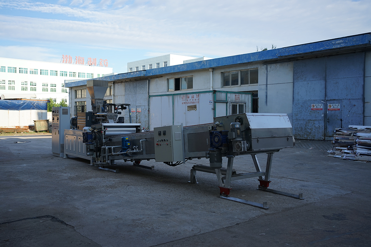 Twin Shaft Hochleistungs-Lebensmittelverarbeitungs-Doppelschneckenextruder